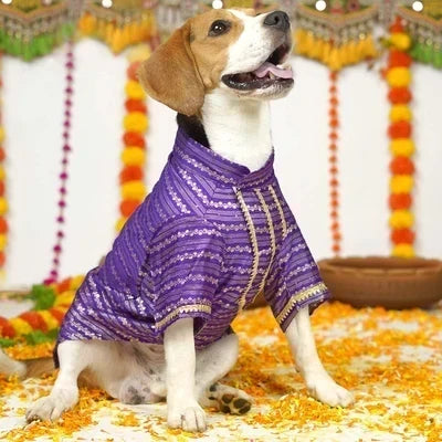 Festive Fashion for Your Furry Family: Because Everyone Deserves to Enjoy