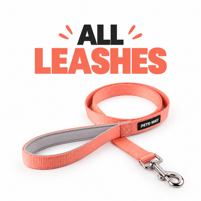LEASH