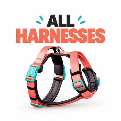 HARNESS