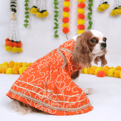 Festive Dress