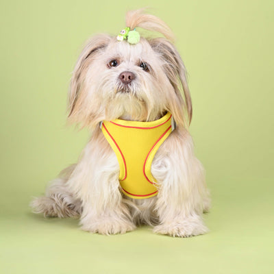 HARNESS