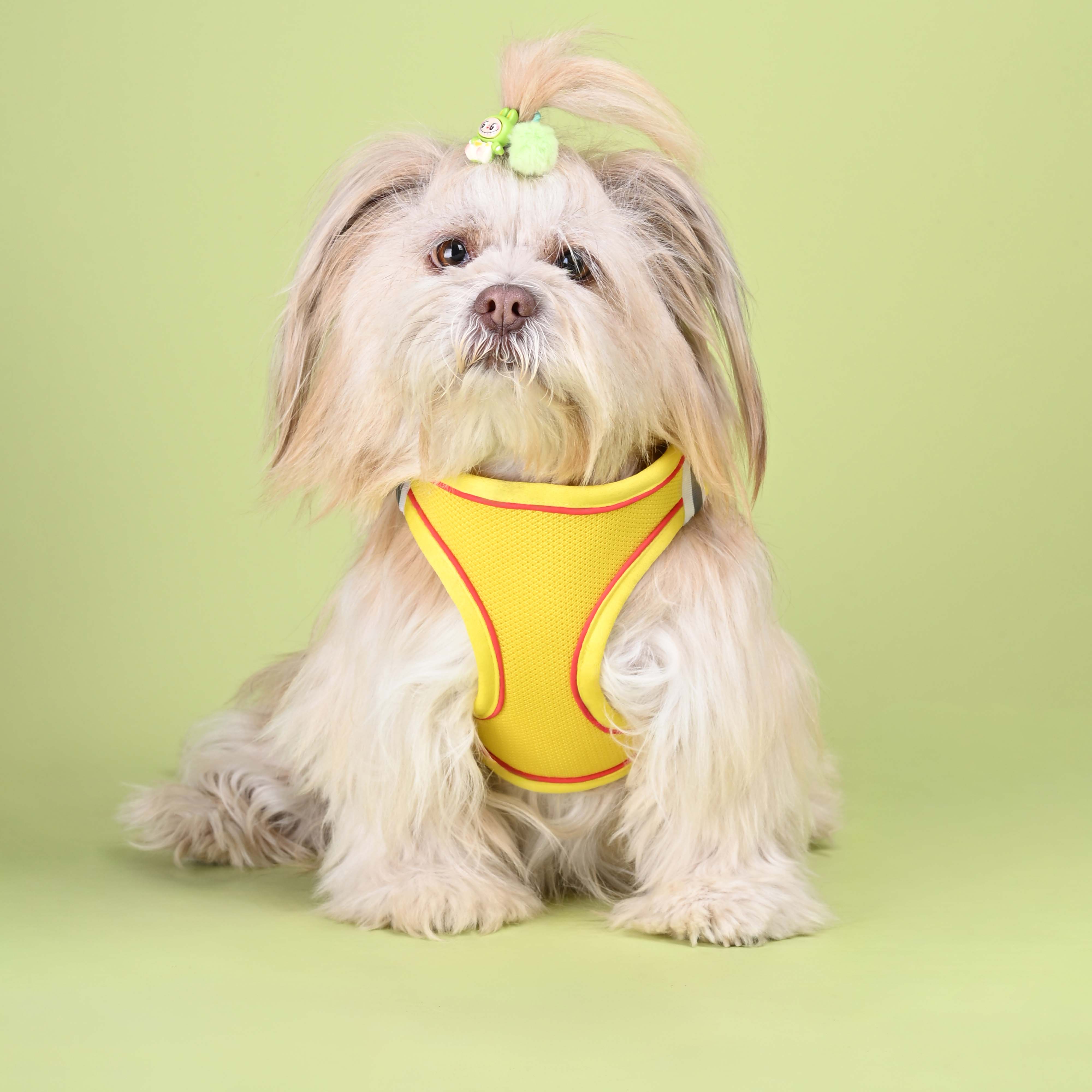 Dog Harness