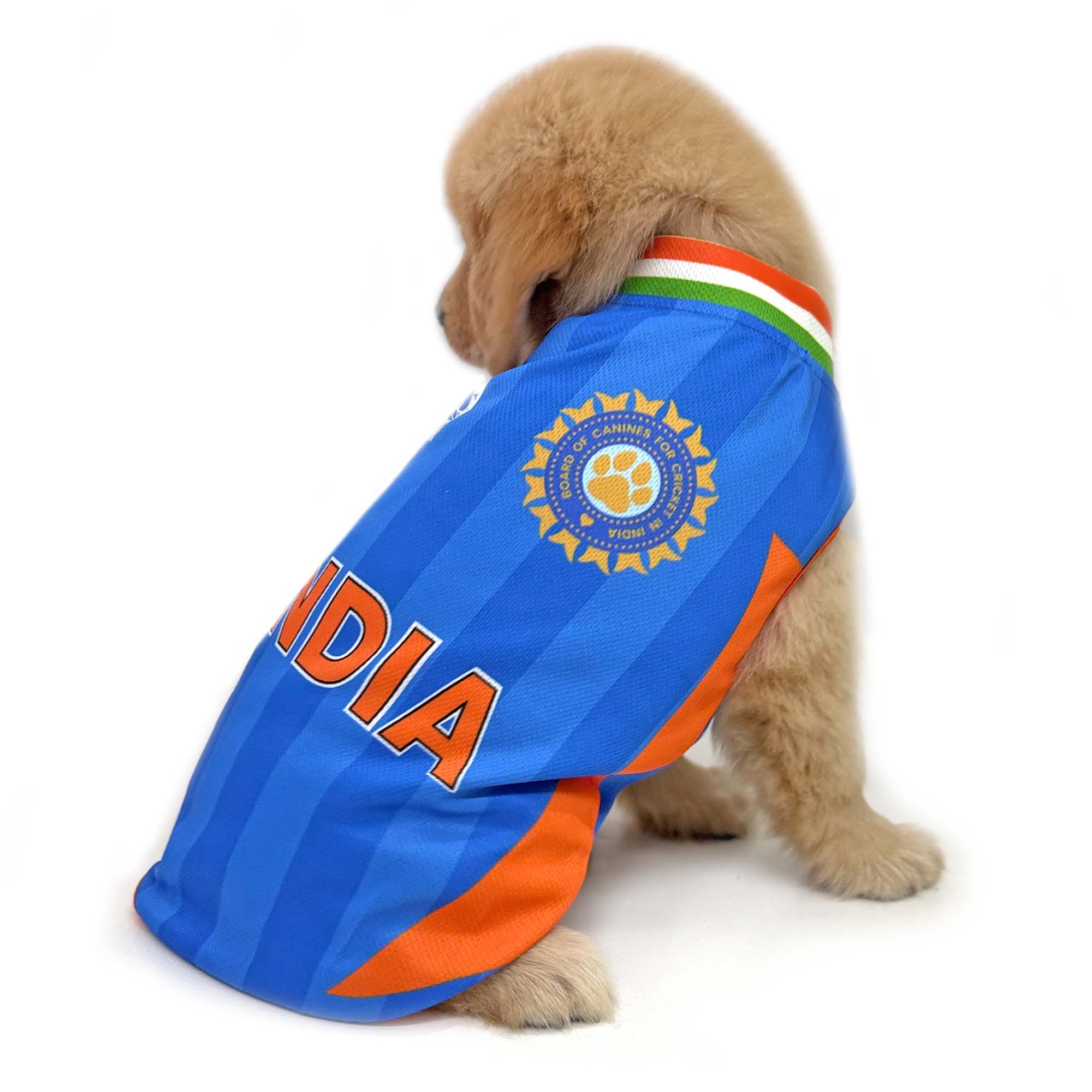 IPL / CRICKET Jersey