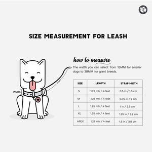 Peach padded  Dog Leash