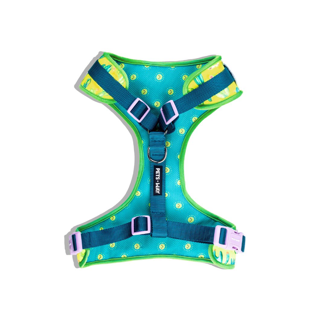 Desert Vest Harness