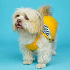 Taxi Dog Vest