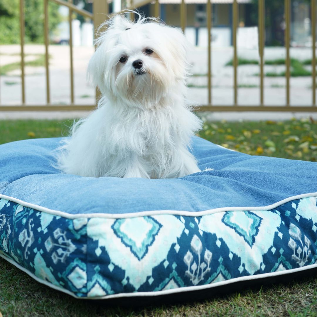 Tana Ban Ocean Dog Mattress