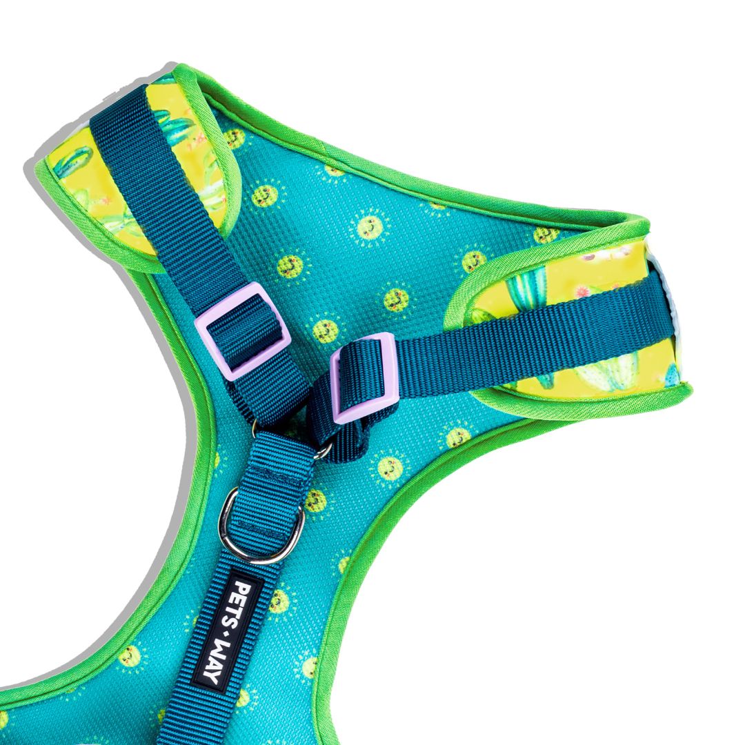Desert Vest Harness