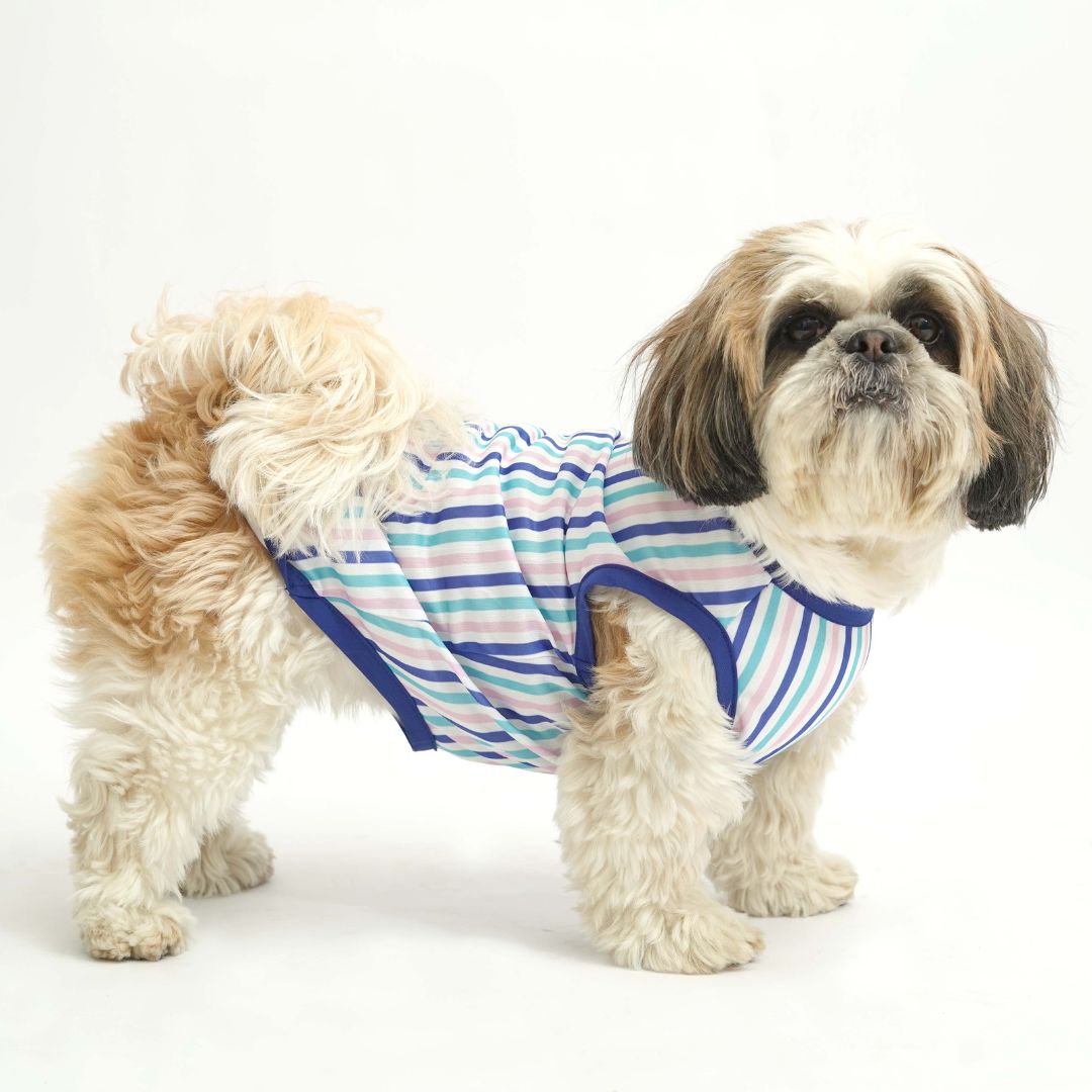 Blue Printed Dog Vest Combo