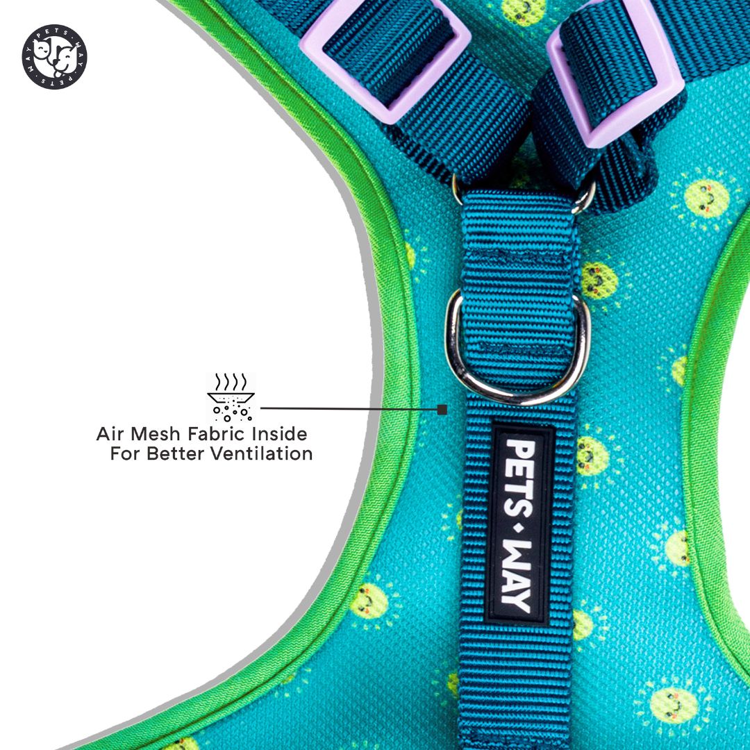 Desert Vest Harness