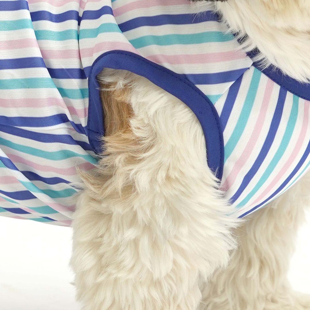 Blue Printed Dog Vest Combo