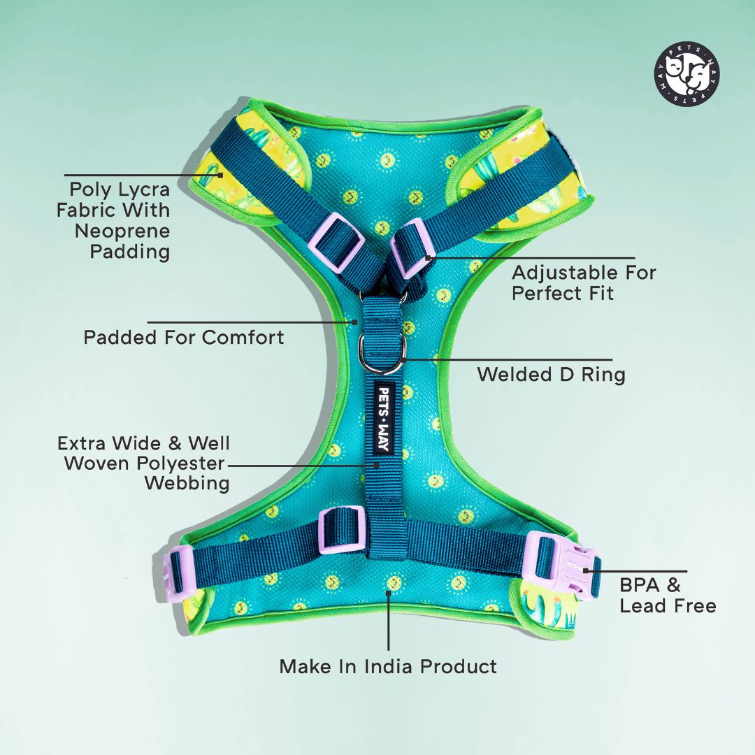 Desert Vest Harness