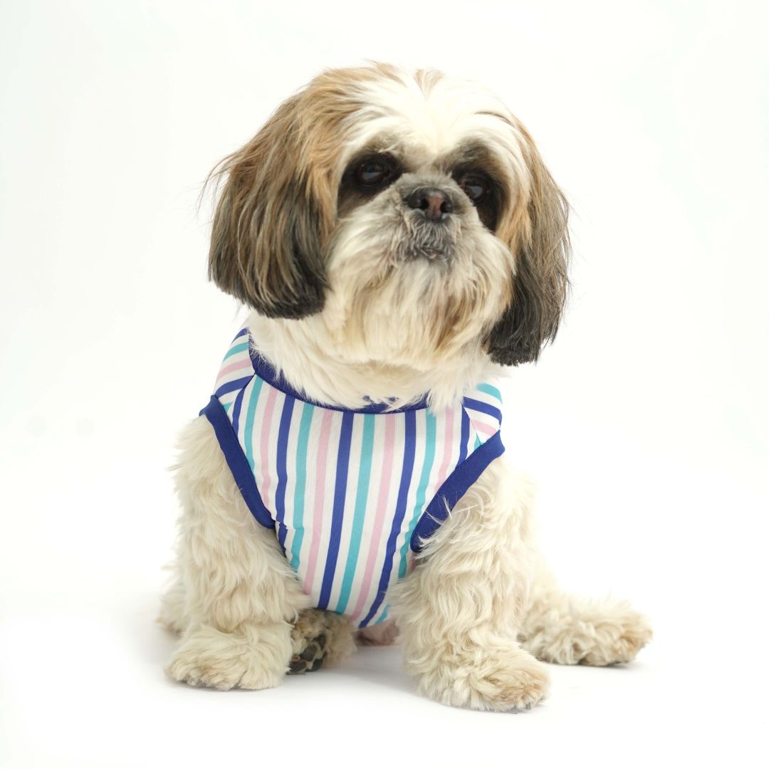 Blue Printed Dog Vest Combo