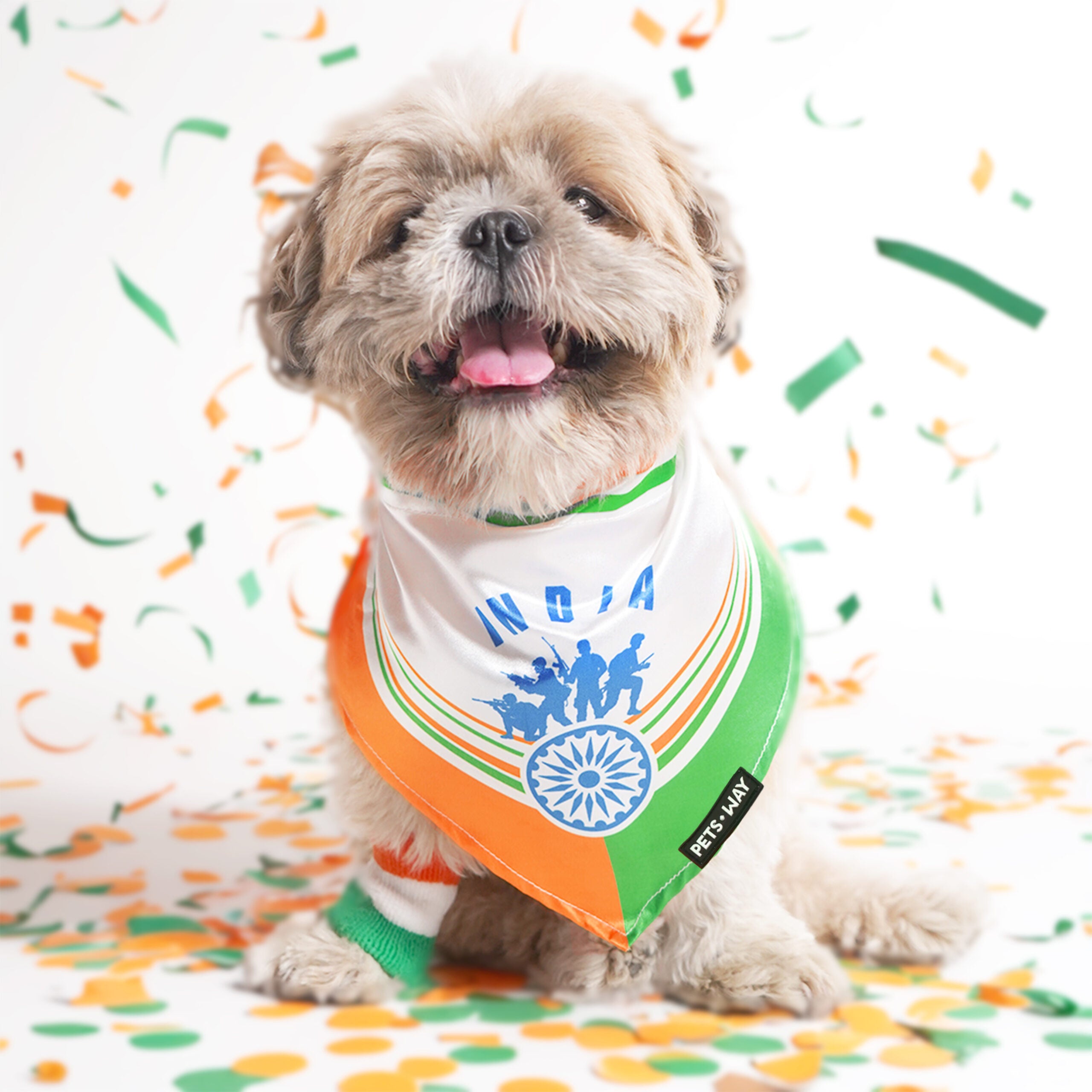 Independence Day Dog Bandana