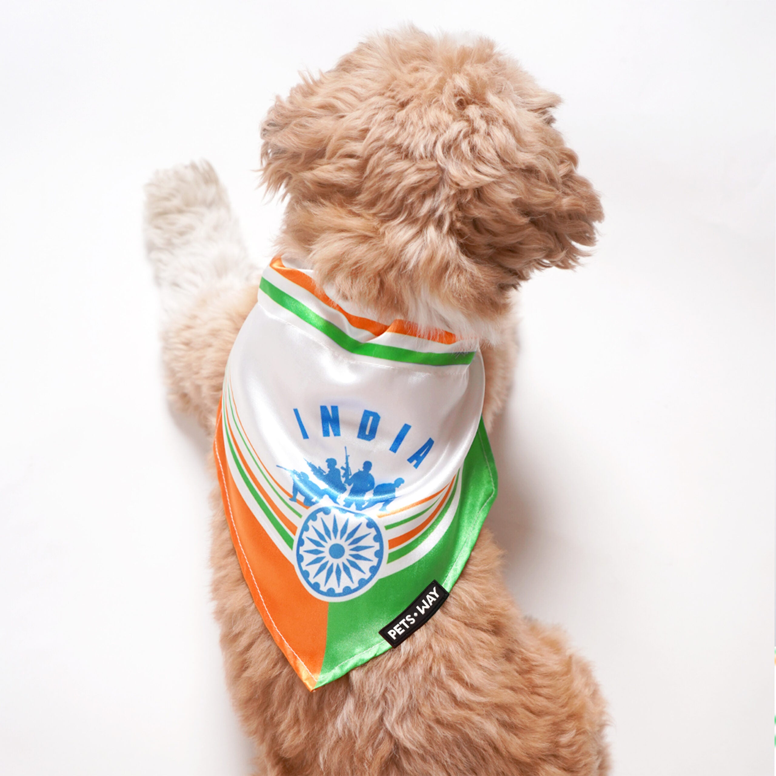 Independence Day Dog Bandana