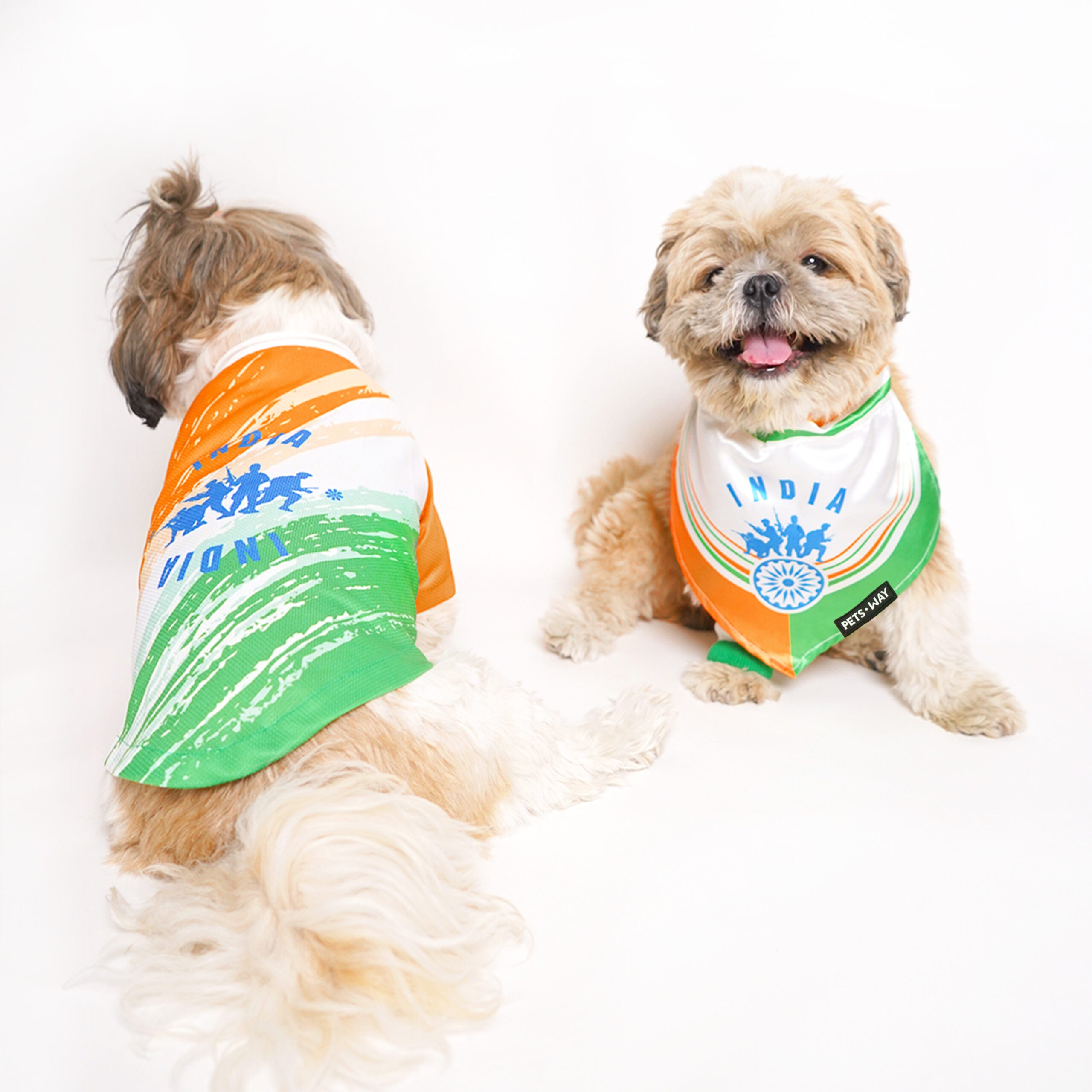 Independence Day Dog Bandana