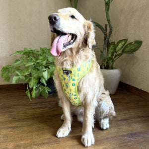 Desert Vest Harness