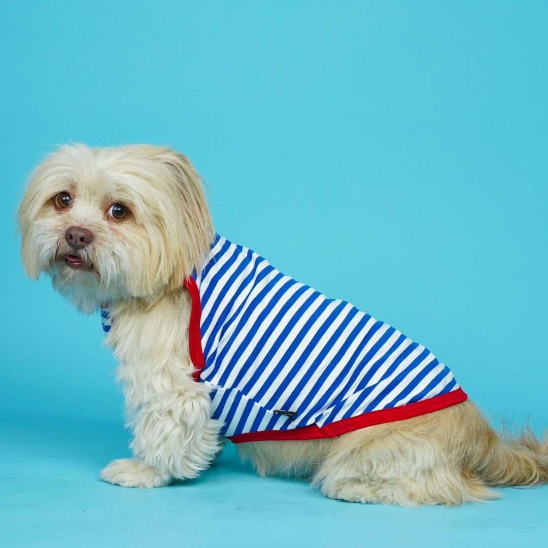 Anchor Dog Vest