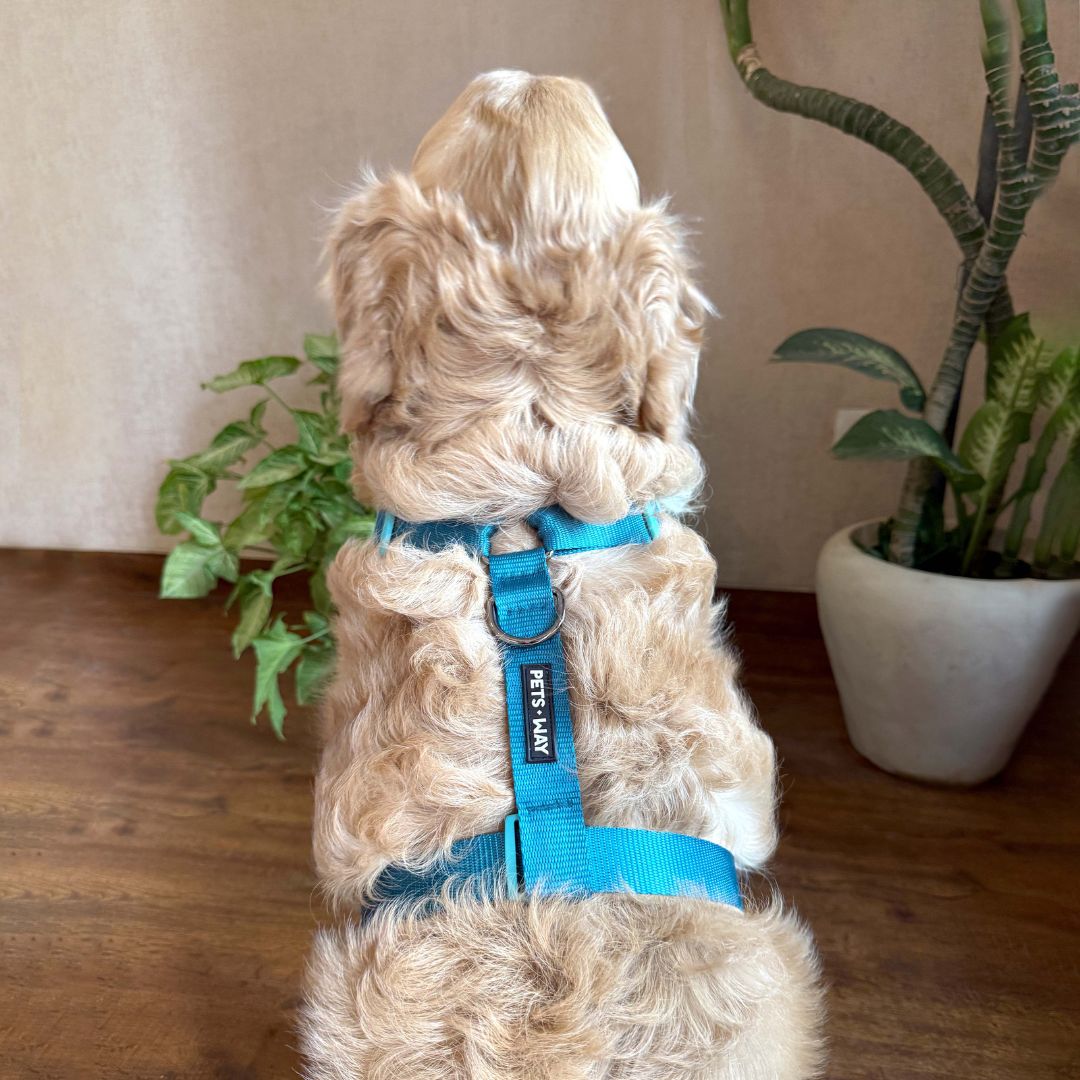 Desert Vest Harness