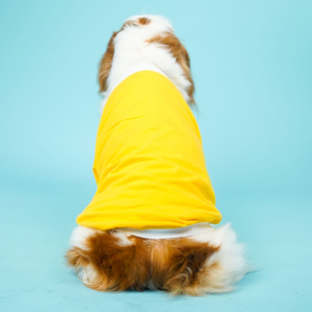 Dive In Stripes - Yellow Dog TShirt