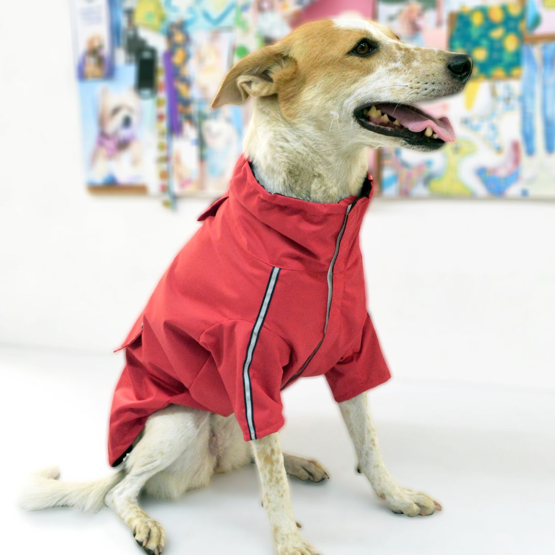 Cloud Dog Raincoat - Cherry