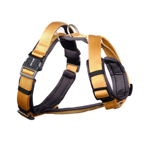 HONEY ALPHA HARNESS