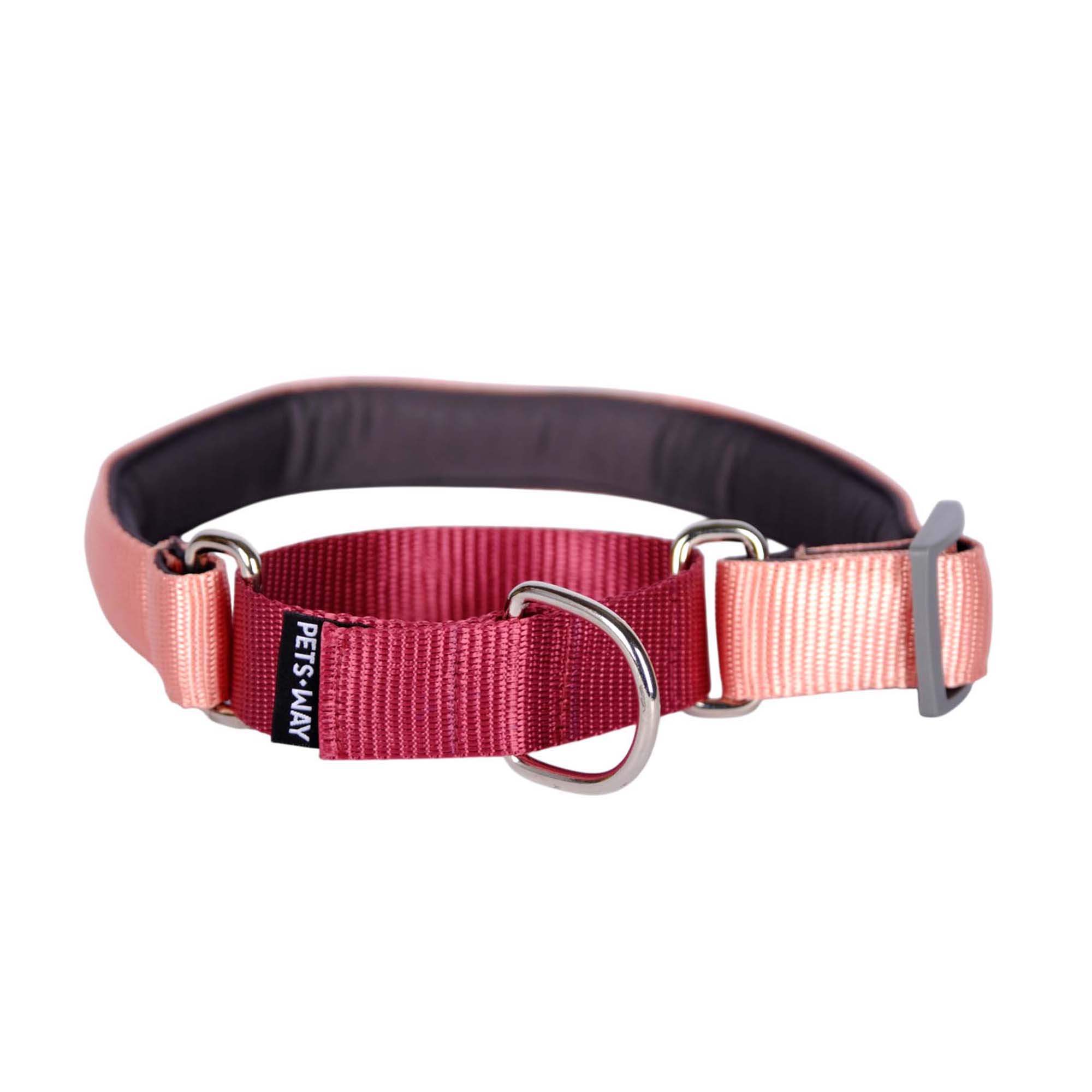 PEACH & WINE MARTINGALE COLLAR