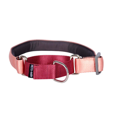 Martingale Collar