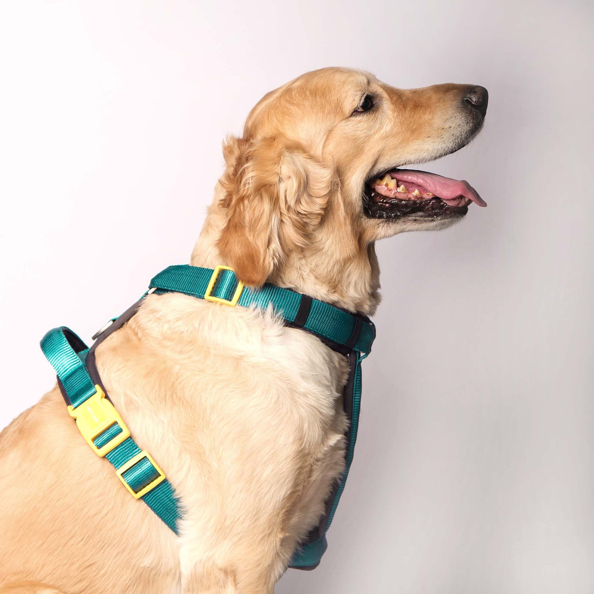 EMERALD ALPHA HARNESS