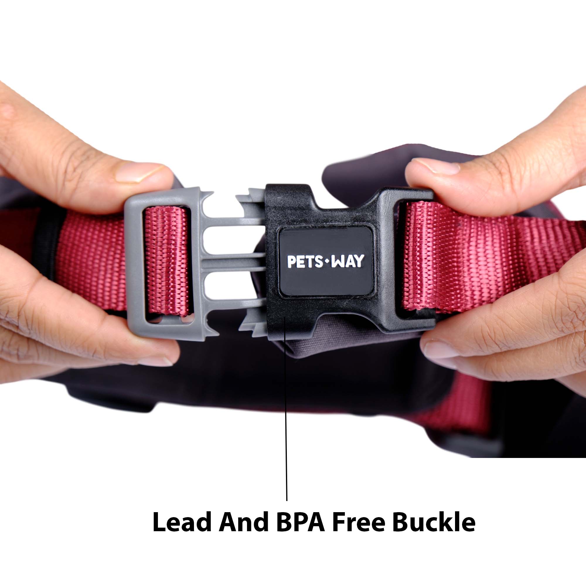 WINE ALPHA HARNESS