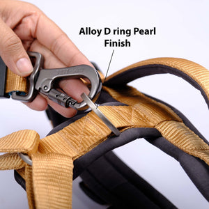 HONEY ALPHA HARNESS