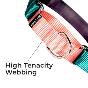 EMERALD & PEACH MARTINGALE COLLAR