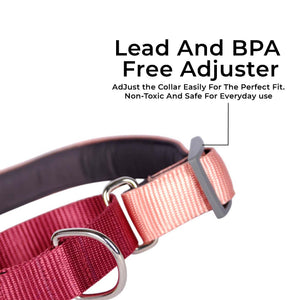PEACH & WINE MARTINGALE COLLAR