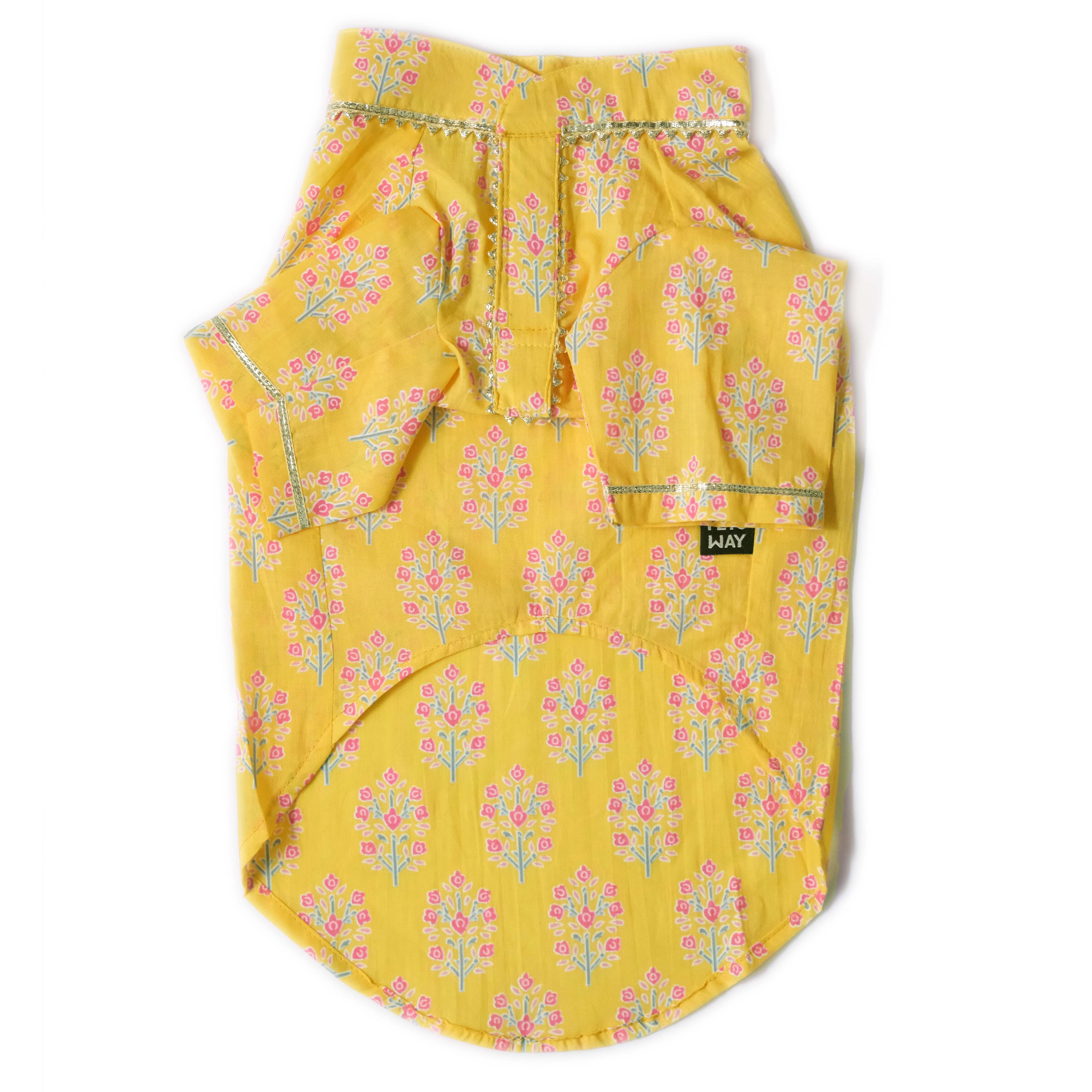 Bandhani Sanganeri- BY Dog Kurta Combo