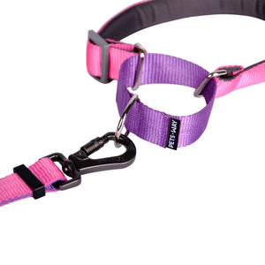 FUCHSIA & AMETHYST MARTINGALE COLLAR
