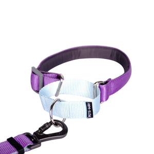 AMETHYST & SKY MARTINGALE COLLAR