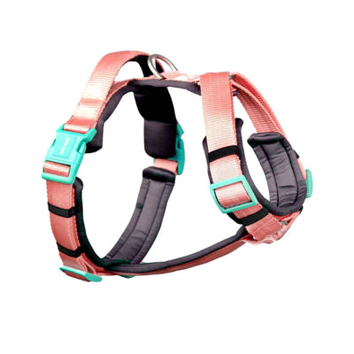 Alpha Harness