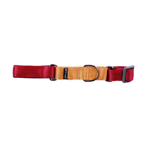 WINE & HONEY MARTINGALE COLLAR