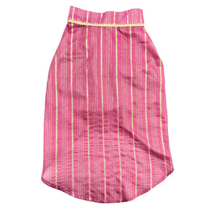Rangrez Dog kurta