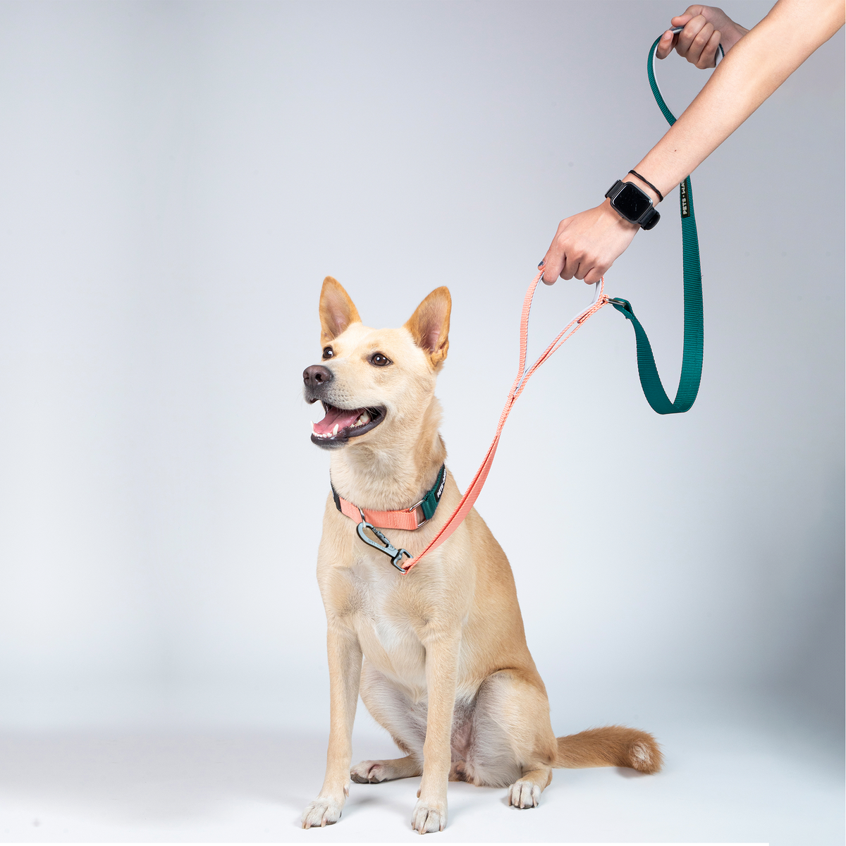 Emerald & Peach - Traffic / Dual Handle  Leash