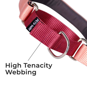 PEACH & WINE MARTINGALE COLLAR