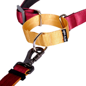 WINE & HONEY MARTINGALE COLLAR
