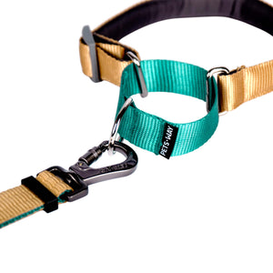 HONEY & EMERALD MARTINGALE COLLAR