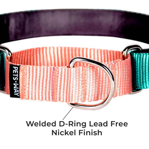 EMERALD & PEACH MARTINGALE COLLAR