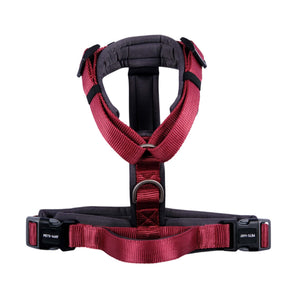 WINE ALPHA HARNESS