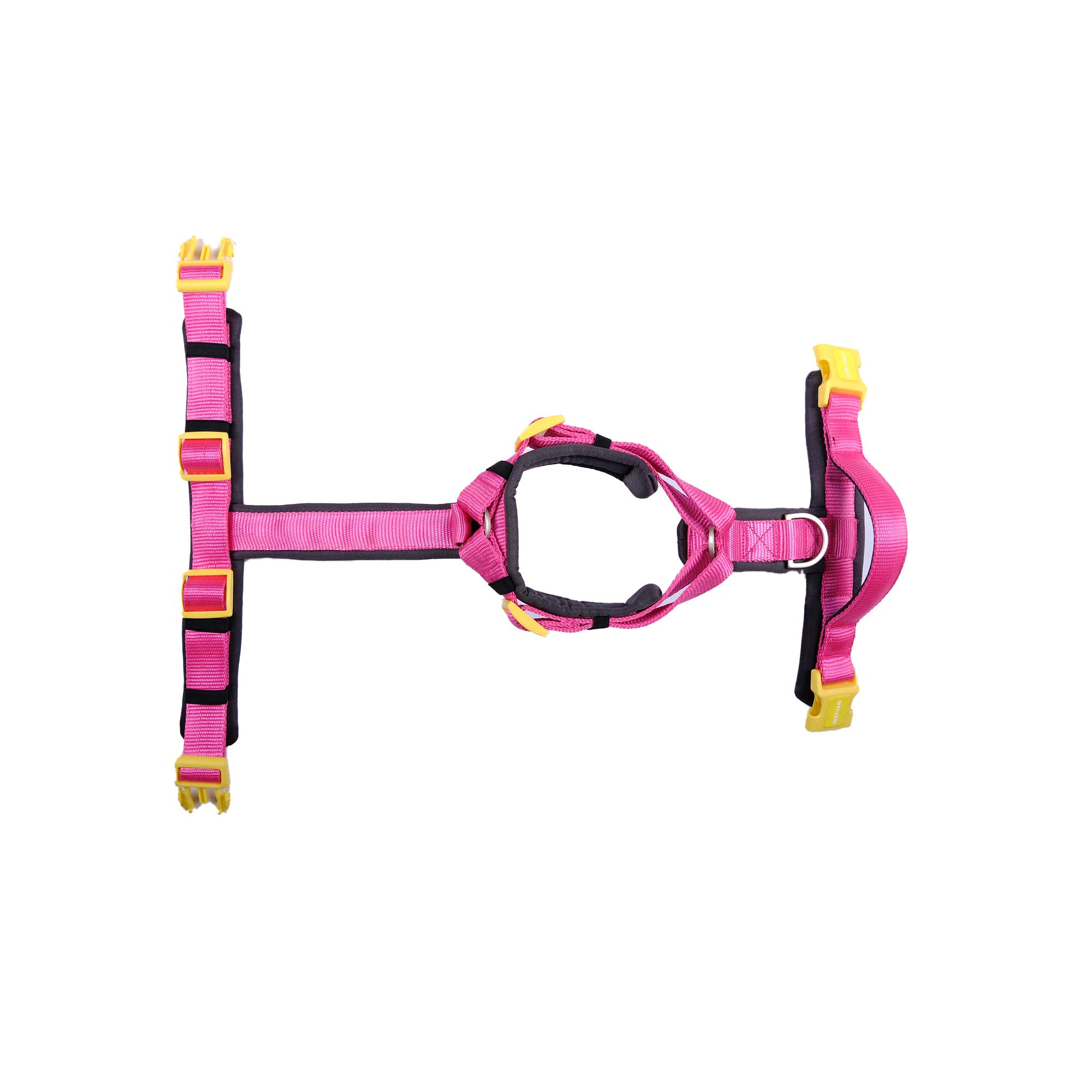 FUCHSIA ALPHA HARNESS