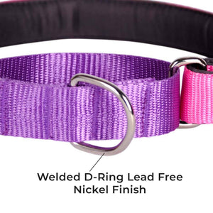 FUCHSIA & AMETHYST MARTINGALE COLLAR