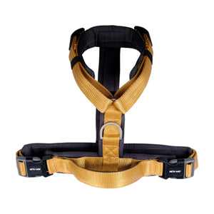 HONEY ALPHA HARNESS