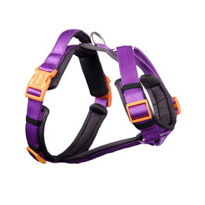 AMETHYST ALPHA HARNESS