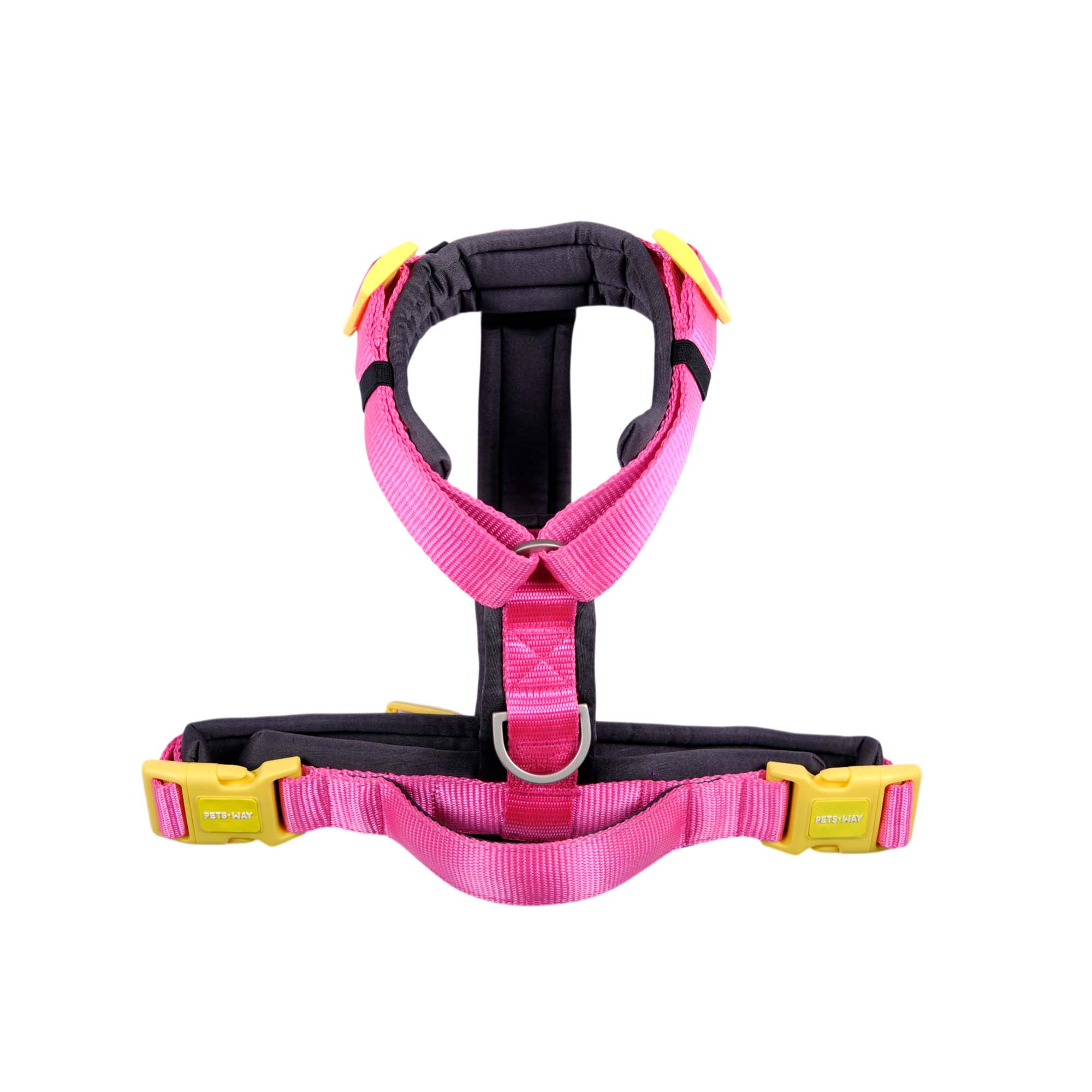 FUCHSIA ALPHA HARNESS